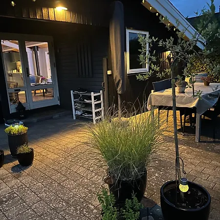 Cozy Little Near The